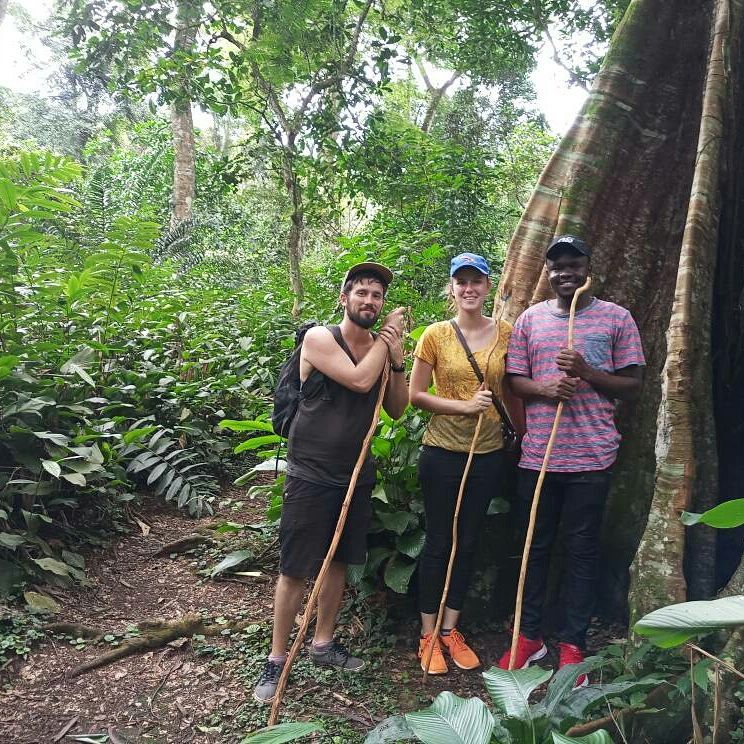 Guided Forest Walks