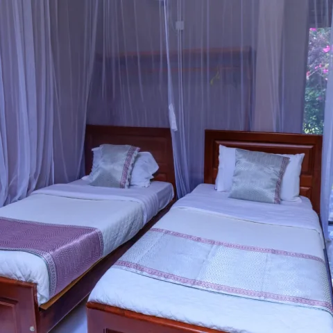 Standard Room — photo 8