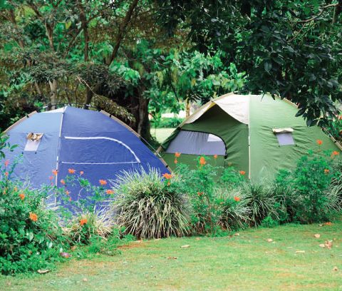 Camping — photo 1