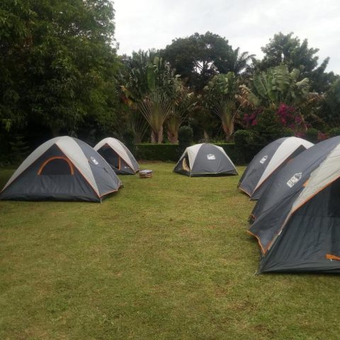 Camping — photo 2