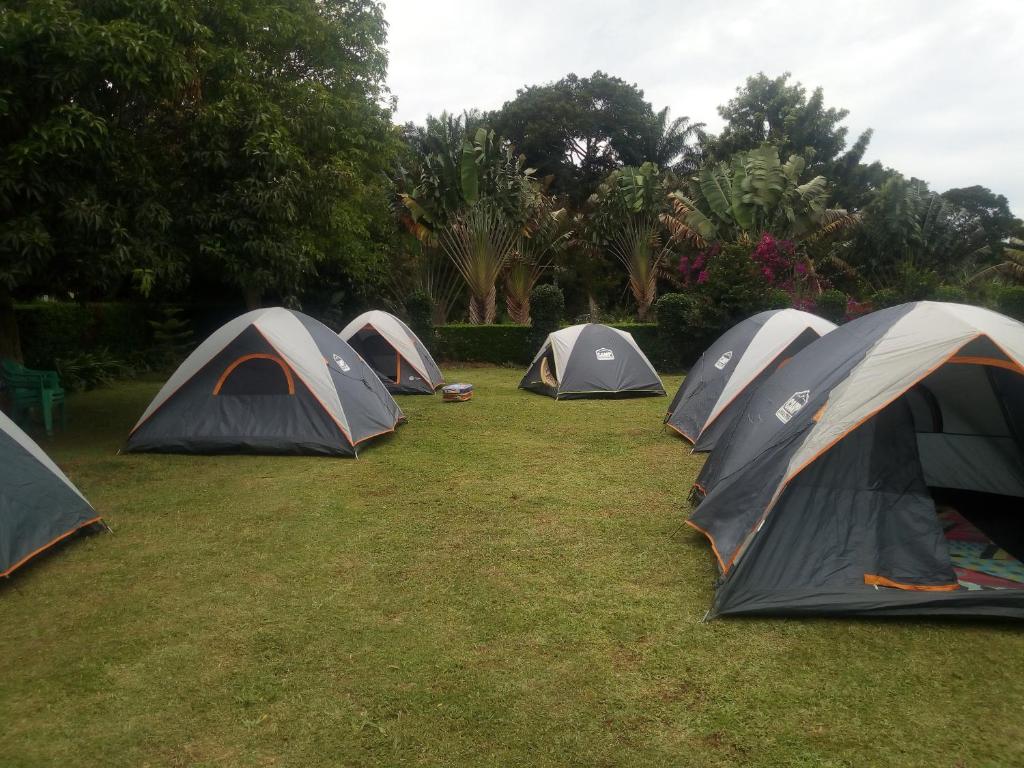 Camping