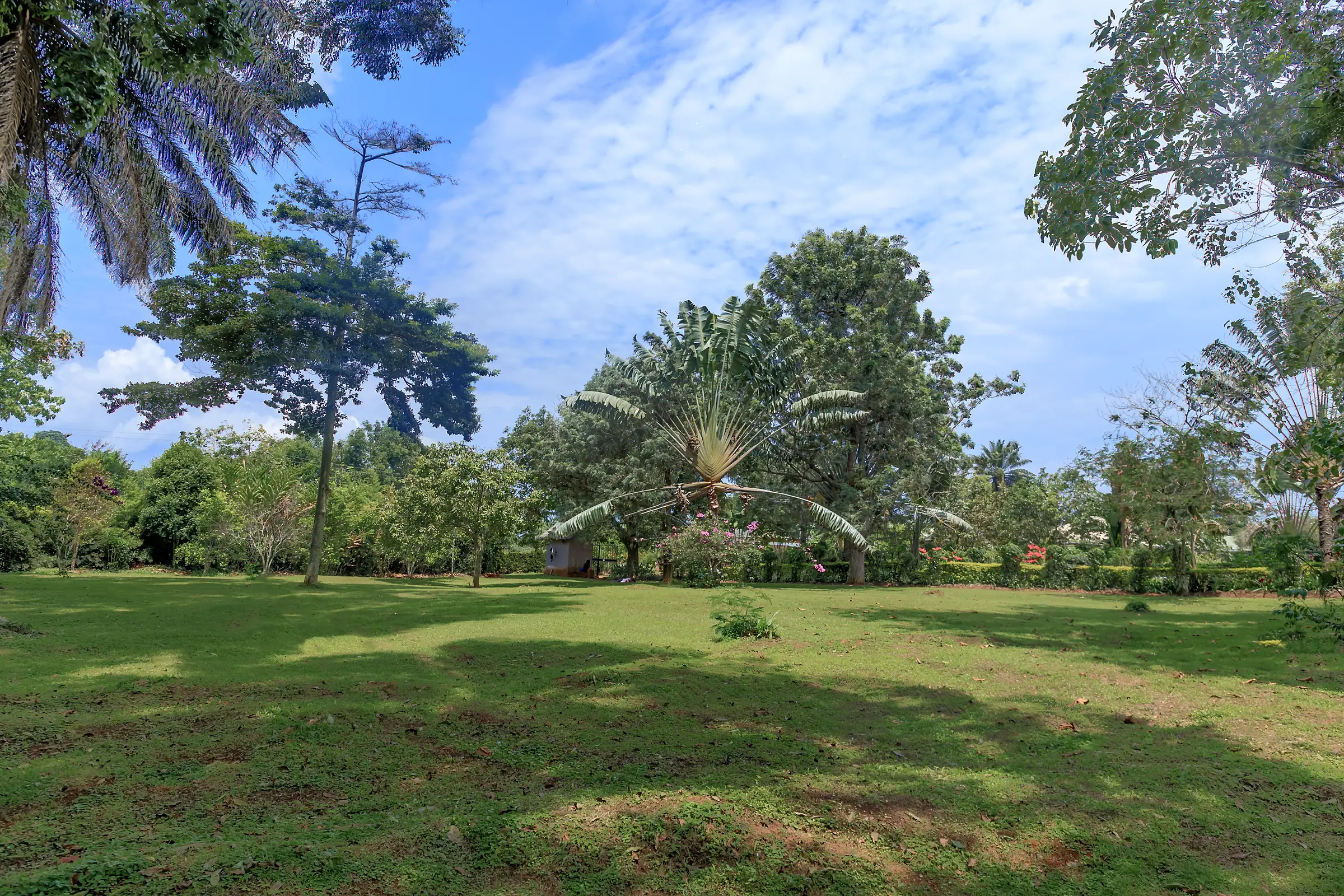 The main lawn