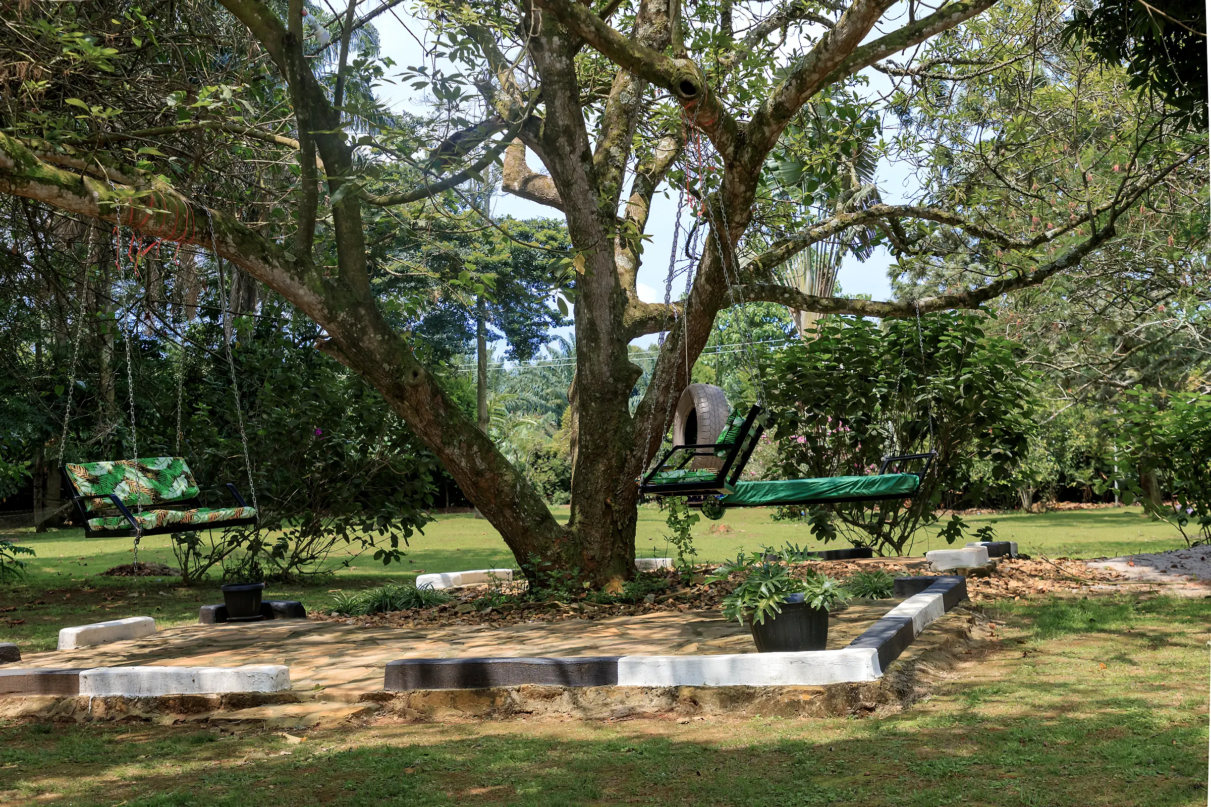 Shade, swings and birdsong